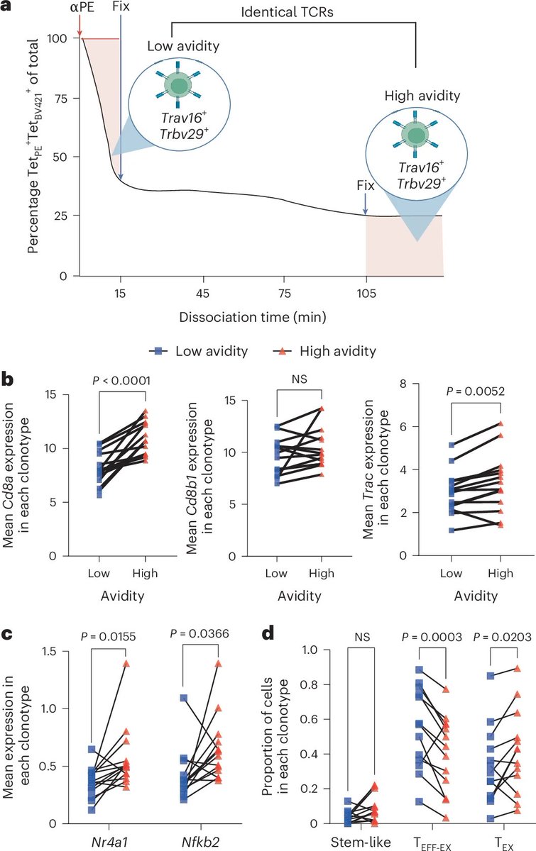 Waggoner Lab (@labwaggoner) on Twitter photo Low-avidity T cells drive endogenous tumor immunity in mice and humans
<a href="/NatImmunol/">Nature Immunology</a>
nature.com/articles/s4159… Low-avidity T cells drive endogenous tumor immunity in mice and humans
<a href="/NatImmunol/">Nature Immunology</a>
nature.com/articles/s4159…