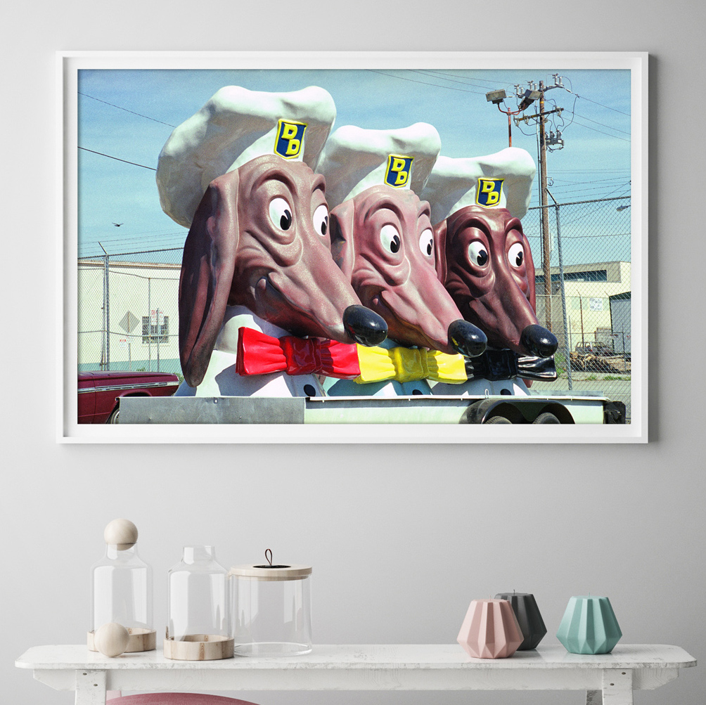 matmarcinkowski's tweet photo. Double Dog Triple? Found these near the docks in San Francisco. Prints available. https://t.co/e1lCiVQ3EE Contact for info. #artforsale #interiordesign #homedecor #stlinteriordesigner #stlinteriordesign #stlinteriors #stlartist #streetphotography #dogs #sanfrancisco https://t.co/fEiyS2scnn