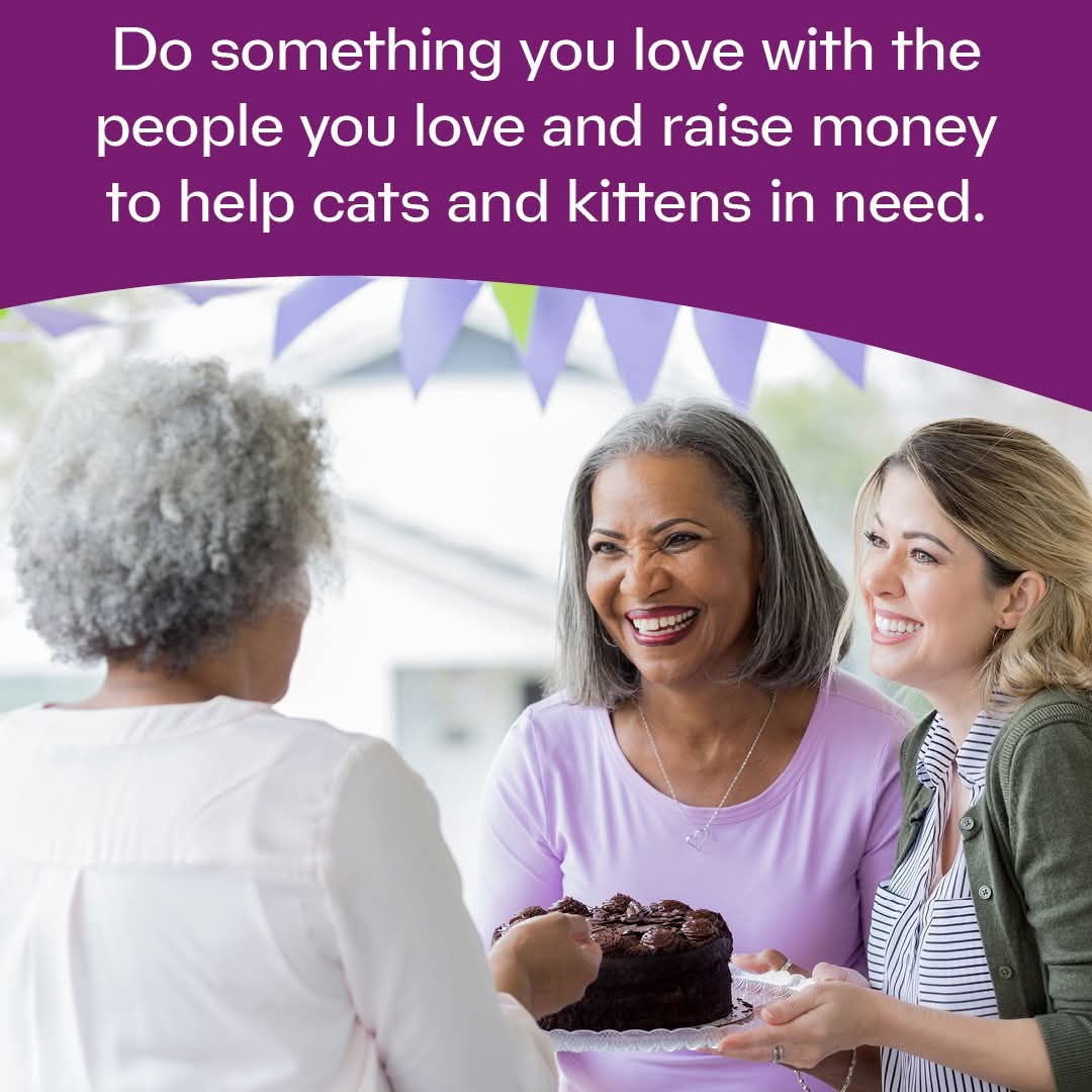 Bake a difference for your local branch! Host a friendly bake sale with your crew, and turn these  creations into life-saving dough for cats in need. 

Sign up for fundraising support today and let's make a pawsome impact together! 
👇
cats.org.uk/fundraiselocal