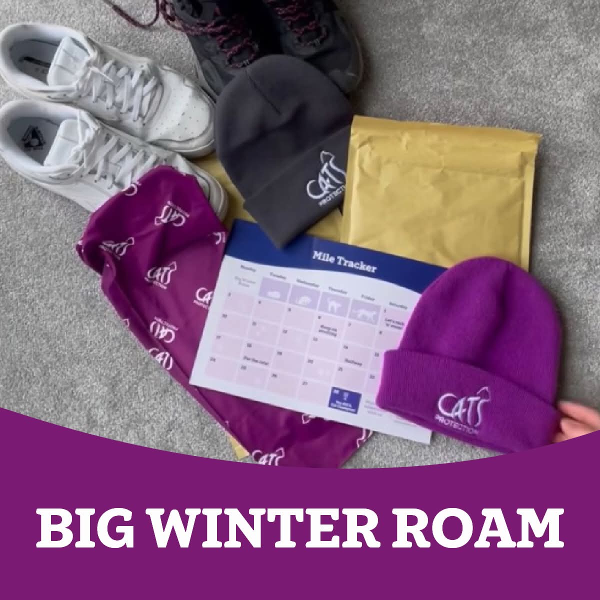 Start your 2025 off strong by conquering our Big Winter Roam challenge! 
What are you waiting for ? sign up yourself here 
👇
cats.org.uk/bigwinterroam
