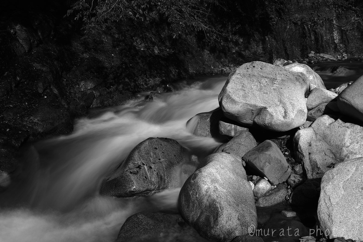 murata_photo's tweet image. #K3mk3モノクローム のRAWって基本的に純正ソフトでないと開けない。普段使ってる #PhotoLab8 とかは対応してない。
が、しかし。考えてみたら #PEF で書き出してるからいけないんじゃないのか？ #DNP なら読めるんじゃない？
と、気が付いた私。
時間のある時に一度試してみよう。