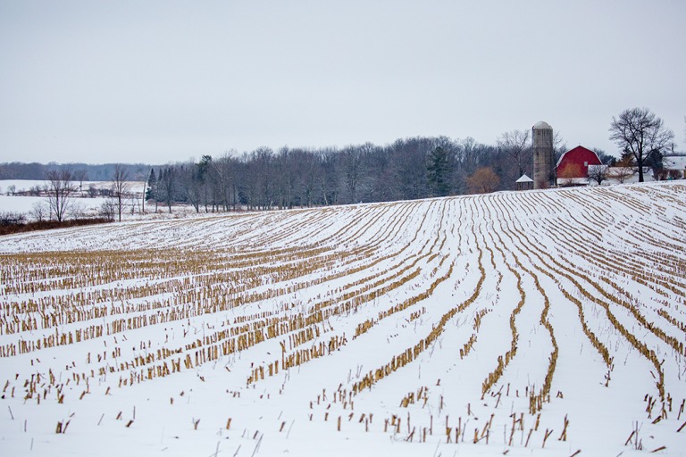 Winter is a season of reflection and gratitude. A big shoutout to all the hardworking farmers who put their heart and soul into feeding the world. Your dedication doesn't go unnoticed, and we're proud to be part of your journey.
.
#Farming #agriculture #grain #trusted #Nebraska
