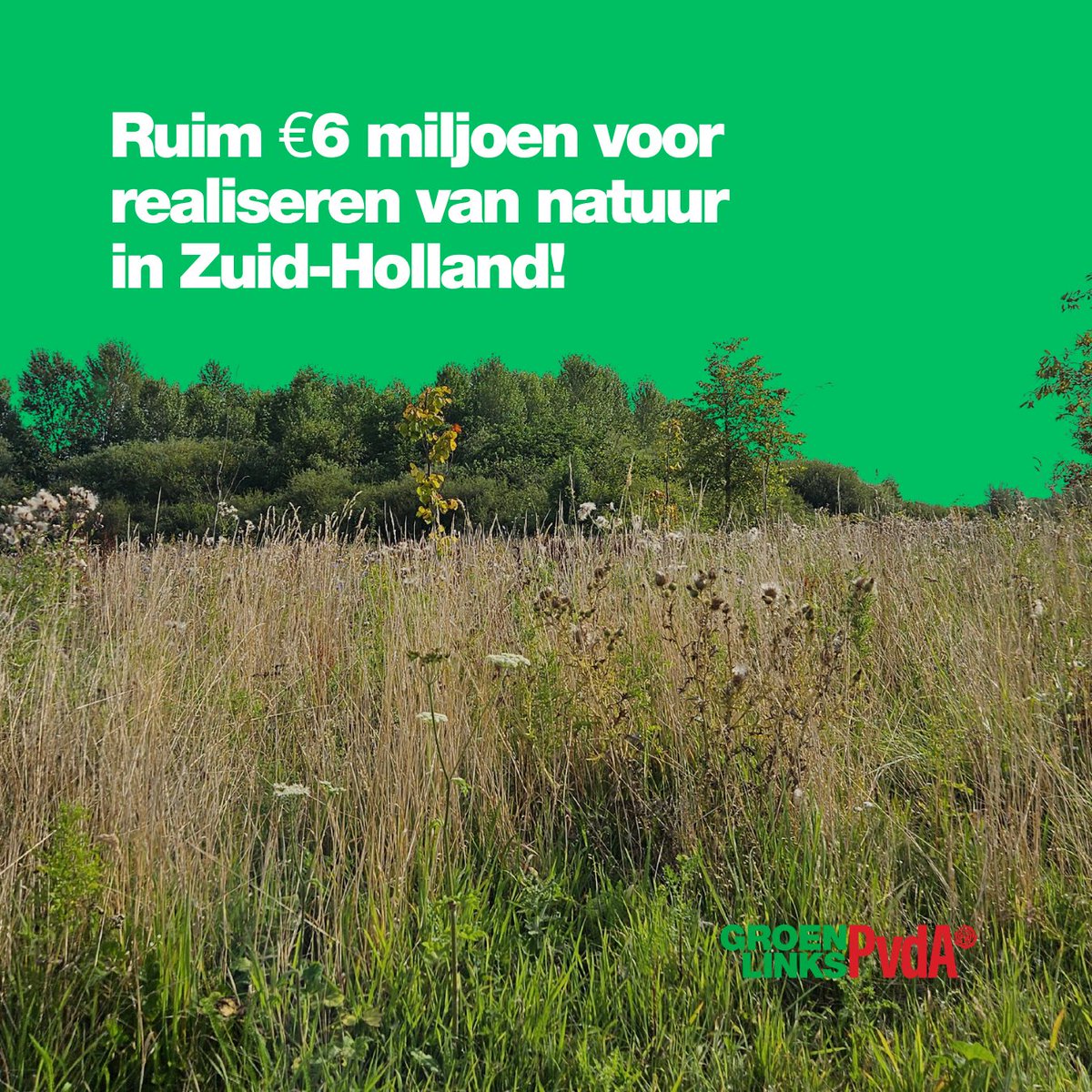 Onze gedeputeerde <a href="/berendpotjer/">Berend Potjer</a> heeft goed nieuws over het #natuurnetwerk: De Provincie Zuid-Holland investeert 6 miljoen in natuurrealisatie in specifieke gebieden. Komend jaar kan 120 hectare aan steeds zeldzamere natuur worden teruggebracht.
zuid-holland.nl/actueel/nieuws…