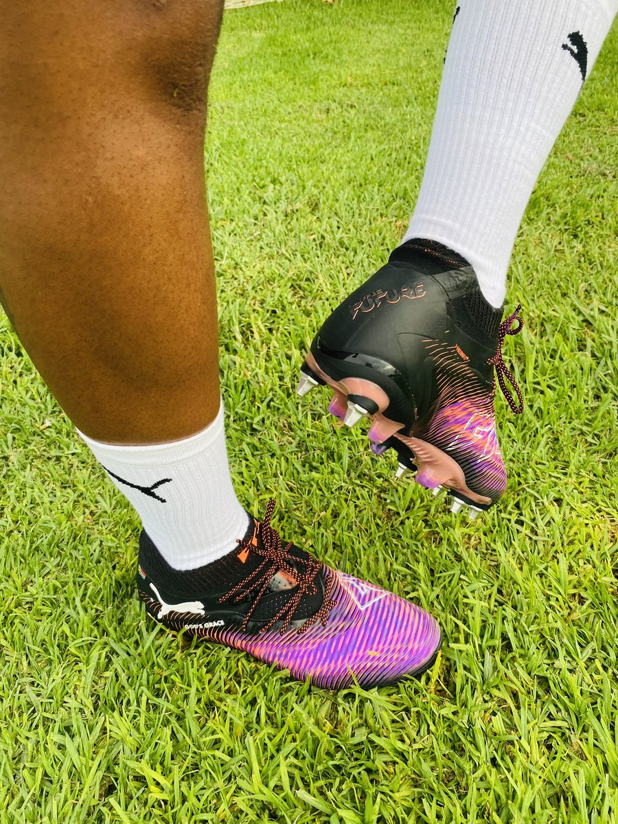 Zanele Madonsela5 tweet media