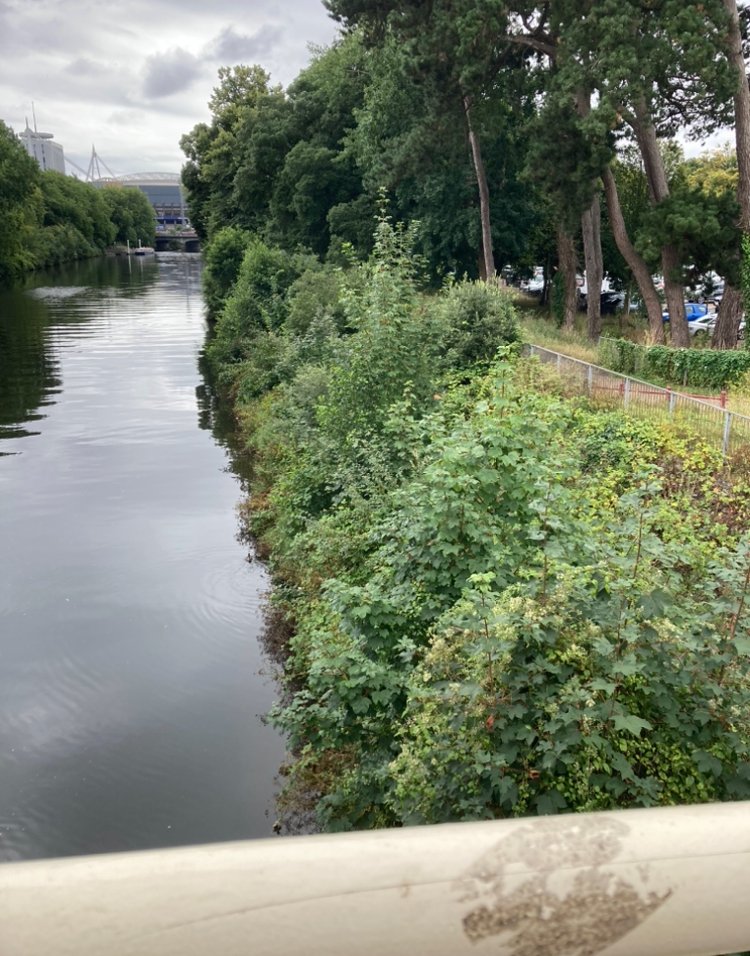 Cyf Naturiol Cymru CDC / Natural Res Wales SWC tweet media