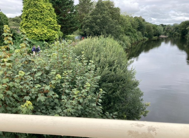 Cyf Naturiol Cymru CDC / Natural Res Wales SWC tweet media