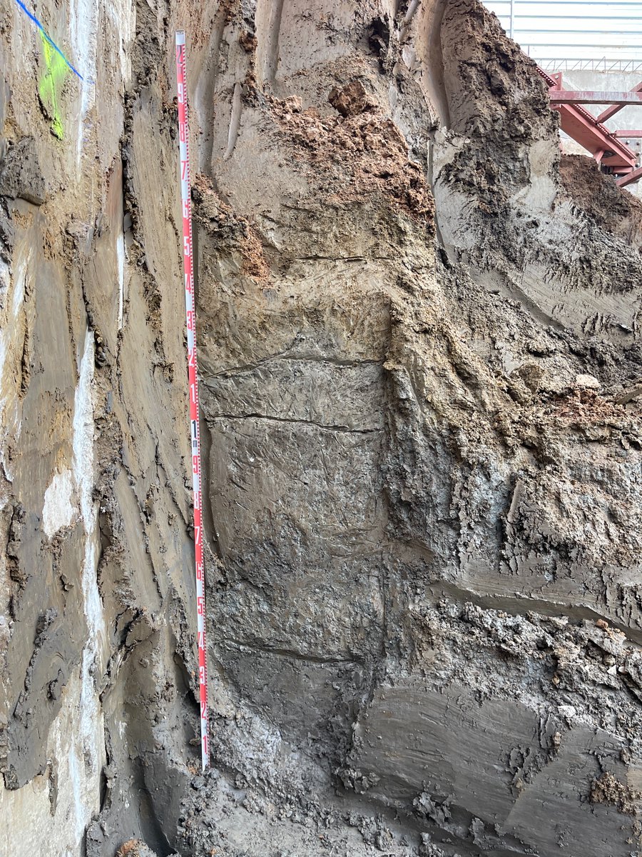 Una profunda i extensa obra en el cor del Raval revela la seqüència sedimentària complerta de l'antiga zona humida litoral del Cagalell, sobre un nivell de sorra consolidada que podria correspondre a una barra sorrenca. Agraïr la col.lbaoració d'ATICS i <a href="/arqueologiabcn/">Servei d'Arqueologia</a>