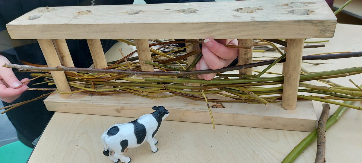 Roots To Fruit Midlands (@rootstofruit202) on Twitter photo Y3 <a href="/fourdwellingspa/">Four Dwellings Primary Academy</a> learning about the Indus Valley Civilisations. They were great innovators and among the first to domesticate animals!
Children made Bronze Age wattle fences from willow to contain their livestock. Beautiful, functional and still in use today!
<a href="/MrsM_Court/">Michelle Court</a> Y3 <a href="/fourdwellingspa/">Four Dwellings Primary Academy</a> learning about the Indus Valley Civilisations. They were great innovators and among the first to domesticate animals!
Children made Bronze Age wattle fences from willow to contain their livestock. Beautiful, functional and still in use today!
<a href="/MrsM_Court/">Michelle Court</a>