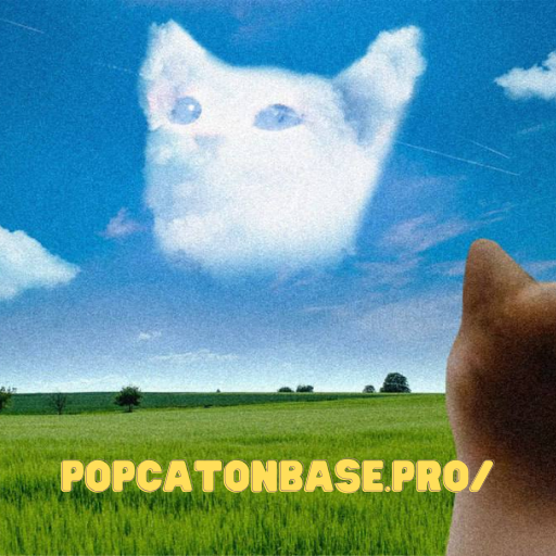 popcatcoinbase's tweet photo. Popcat in the sky https://t.co/vgKMnhfsdA