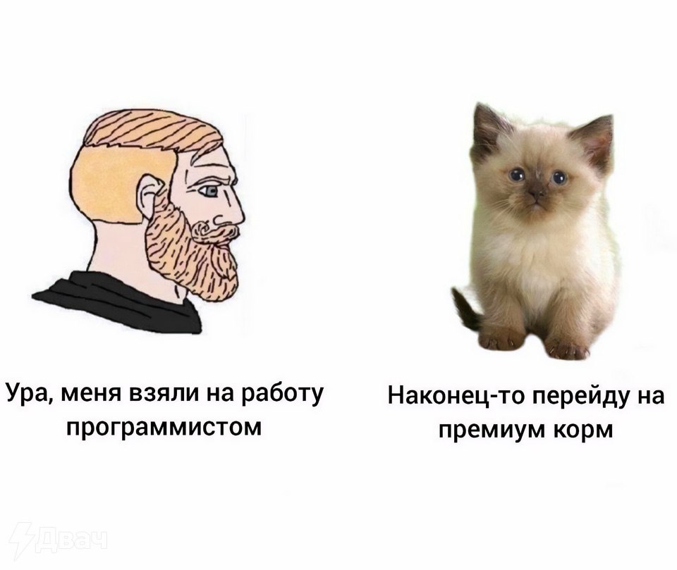 craf_tena's tweet photo. Мы https://t.co/FMoUtOs1s6