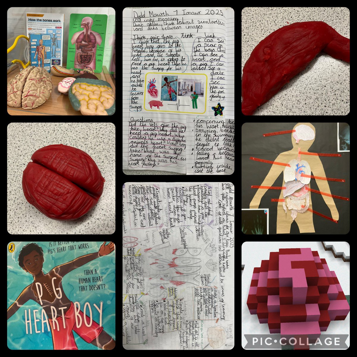 We have had a great first week exploring our new topic Body Works! We’ve been creative using Minecraft and Playdough to explain the functions of our vital organs, and are thoroughly enjoying our new class novel. Ymdrech ardderchog yr wythnos hon! <a href="/garntegprimary/">Garnteg Primary</a> <a href="/mrsnunderwood95/">Mrs N Underwood</a>