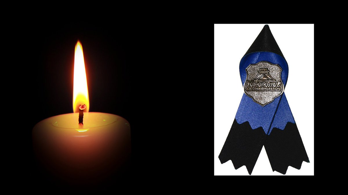 Ottawa By-law tweet media