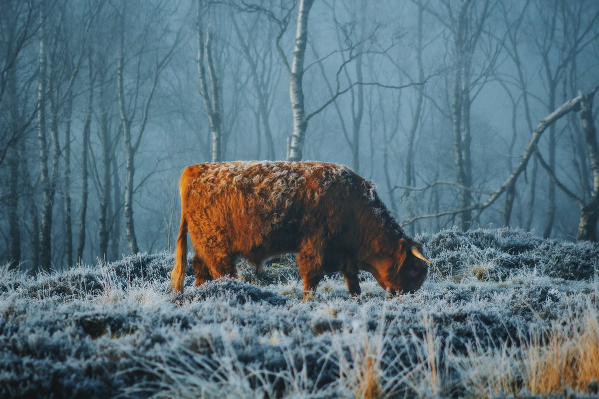 Daniel Casson tweet media