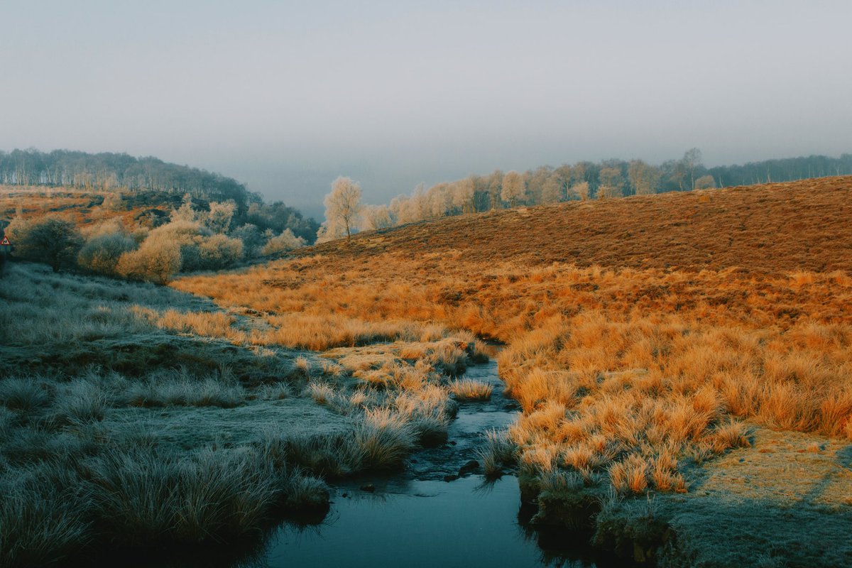 Daniel Casson tweet media