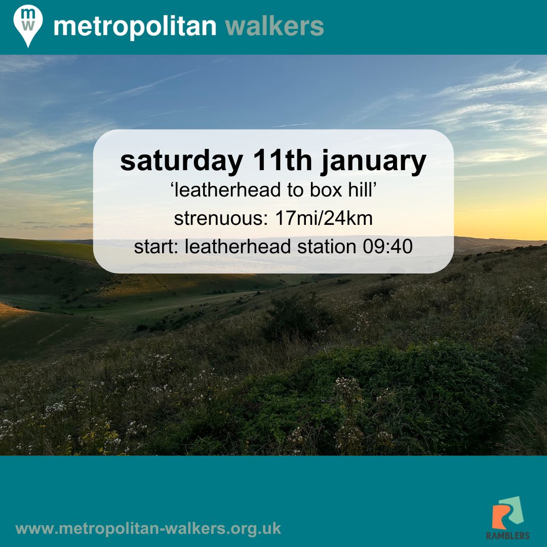 Metropolitan Walkers👣 tweet media