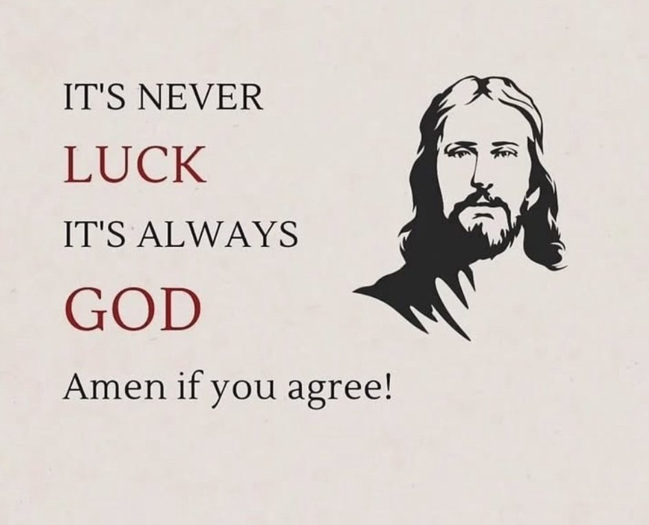 Holy Bible tweet media