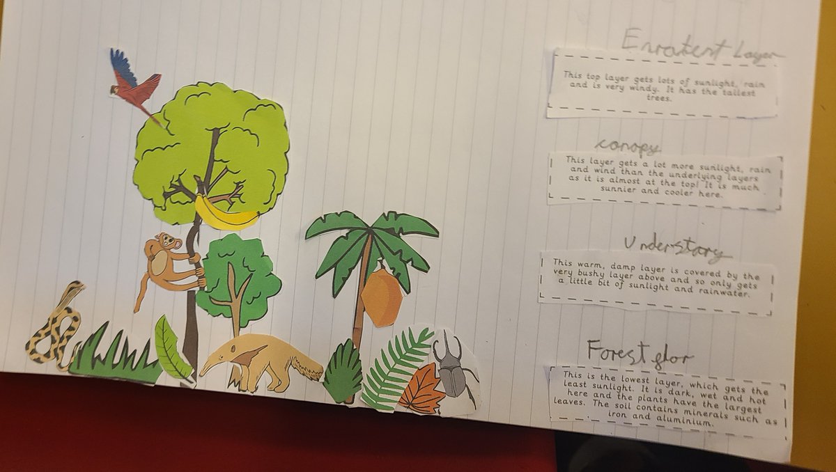 In Year 4, we have started our Rainforests topic this week by creating the layers of the rainforest #Scarcroftgeography