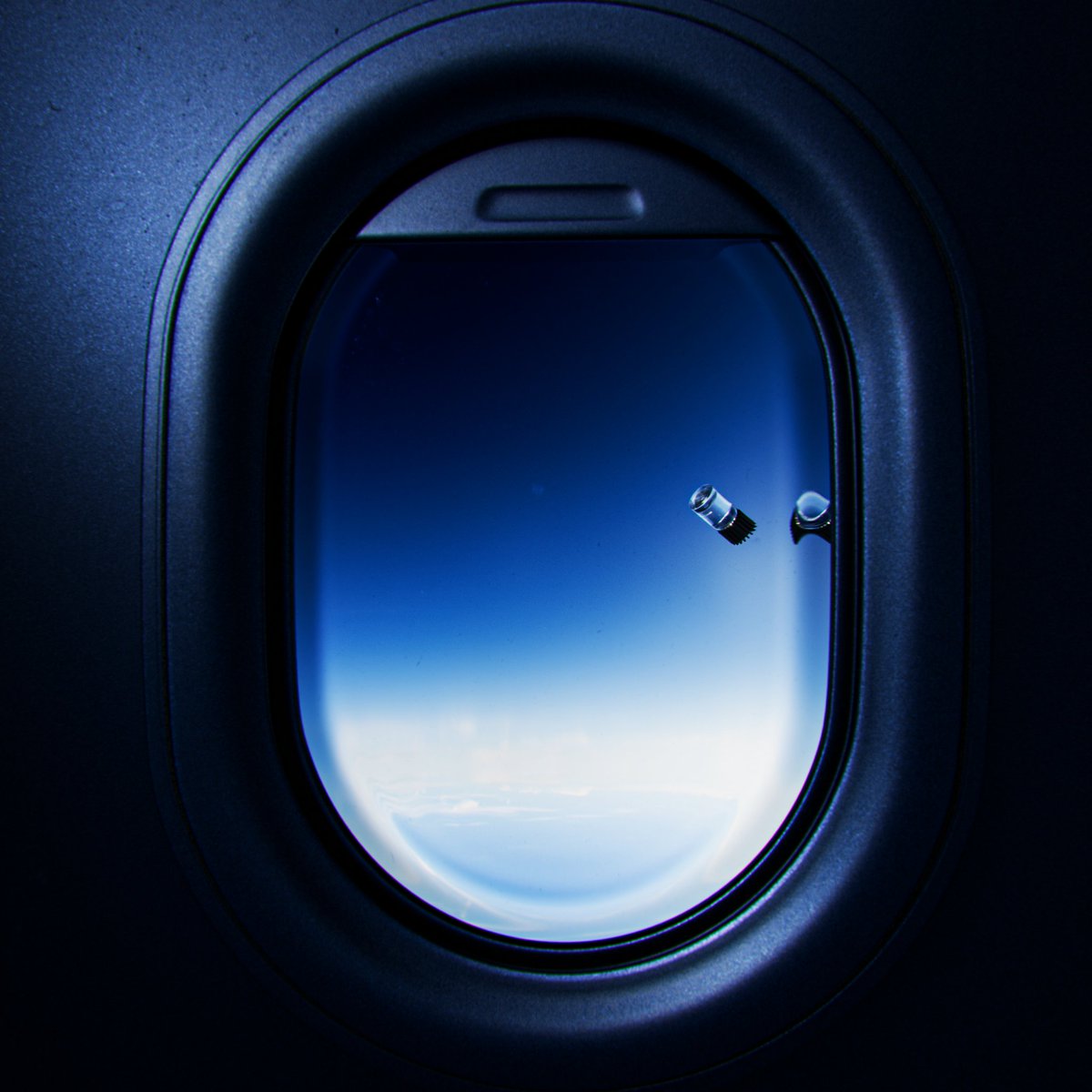 Notan Studio tweet media