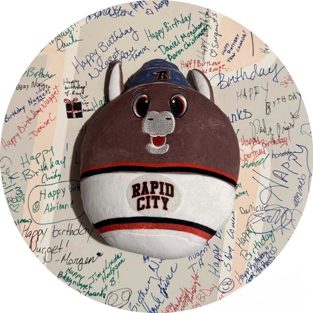 ABSOLUTELY OBSESSED!!❤️
For my Birthday!!🎉 
For the first 1000 fans, under 16, through the door on Friday. 
Thank you to Granite Automotive for helping with these.