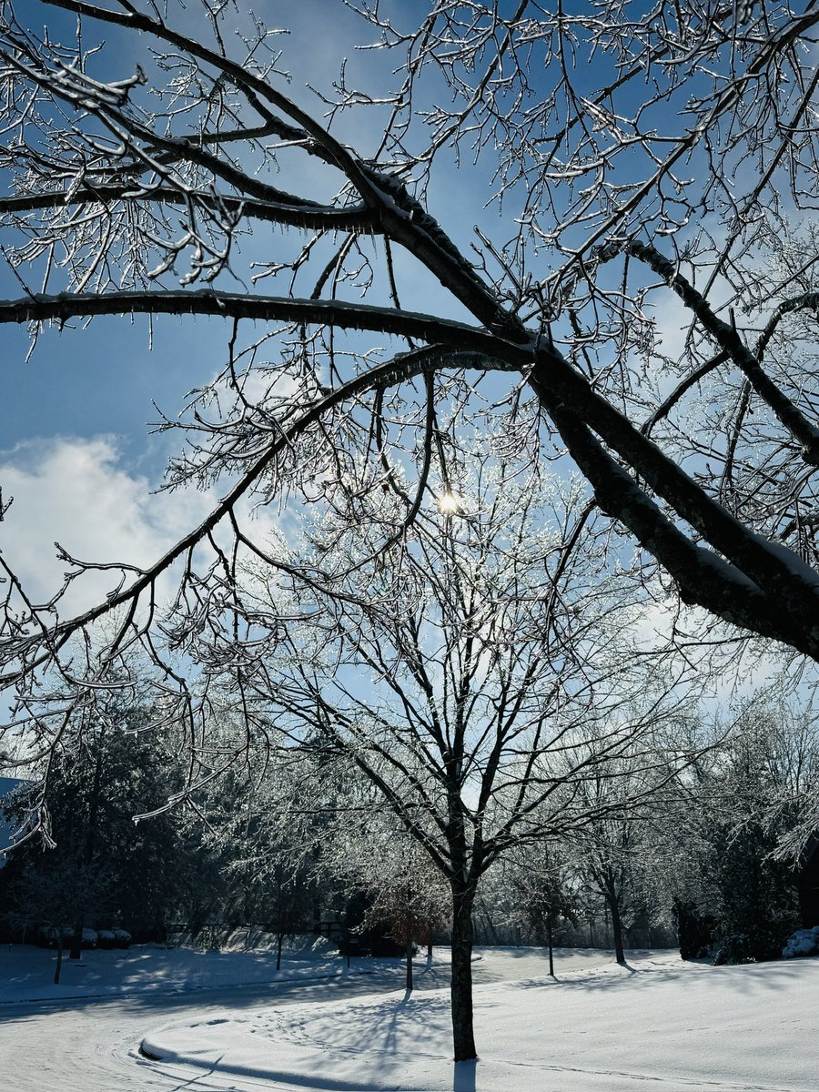 Beautiful sunrise this morning caught by my niece in Garrard Co. And the trees still have ice which sparkle so pretty in the sun!!! <a href="/Kentuckyweather/">Chris Bailey</a> <a href="/JimWKYT/">Jim Caldwell ⛈️</a>