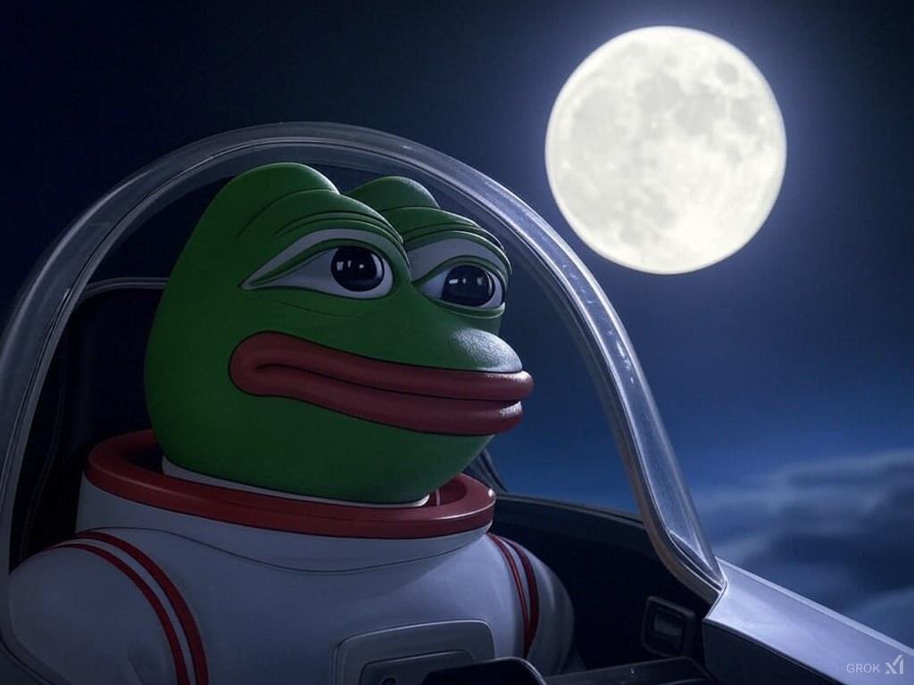 Not Elon Musk tweet media