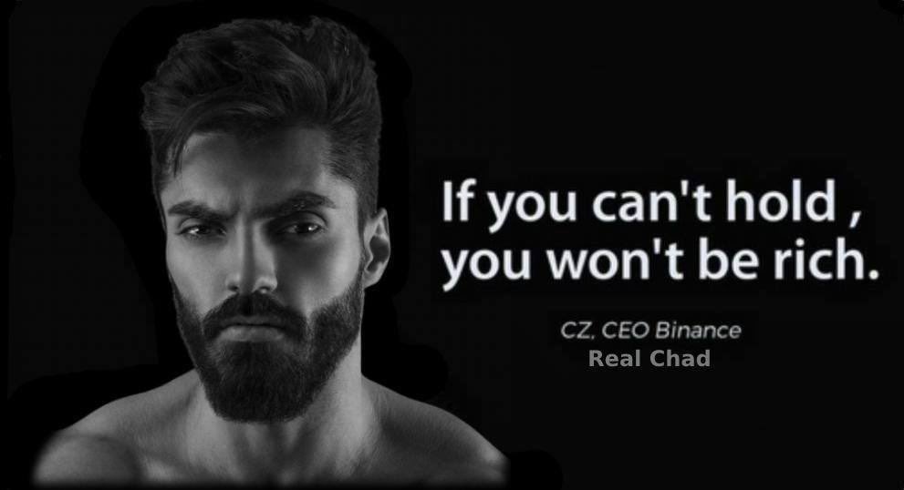 Is0_Muna's tweet photo. @SenseiBR_btc My thoughts exactly sir.  Do you already have a bag of #REALCHAD ? https://t.co/JG43thF4vE