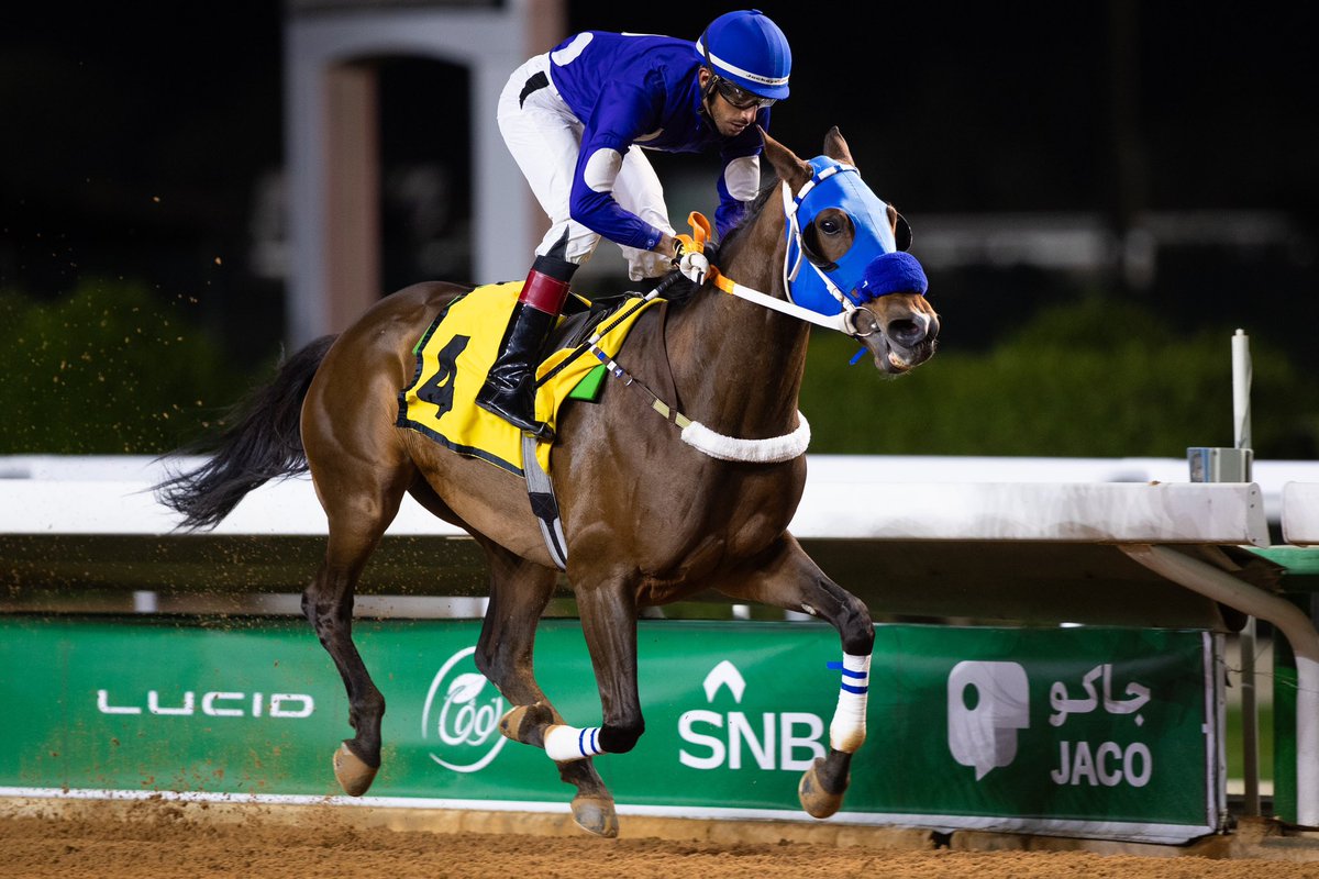 نتيجة الشوط الـ 11 الحفل (76) 

◻️الفائز : العنود اف بي ار 
◻️المالك : خالد فهد الحوشان
◻️المدرب : عبدالله النهابي
◻️الخيال : مشعل المزيد
◻️المسافة : 1200م

#نادي_سباقات_الخيل 🐎