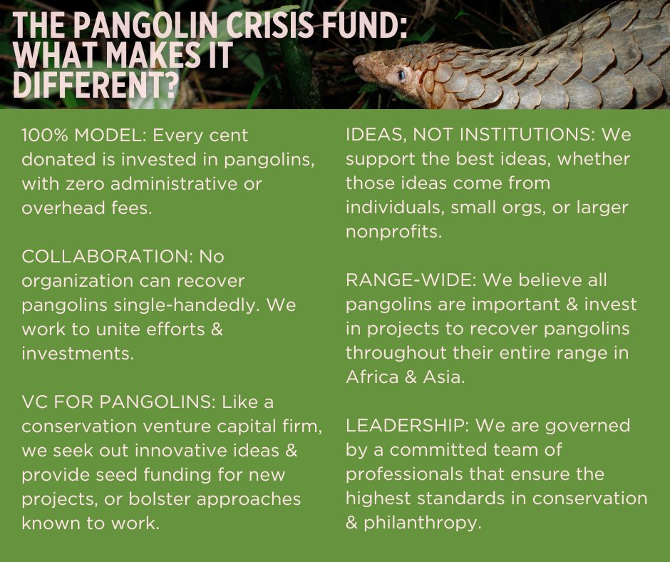 What sets the Pangolin Crisis Fund apart? Here are 6 key traits that define the PCF and our approach to pangolin conservation.