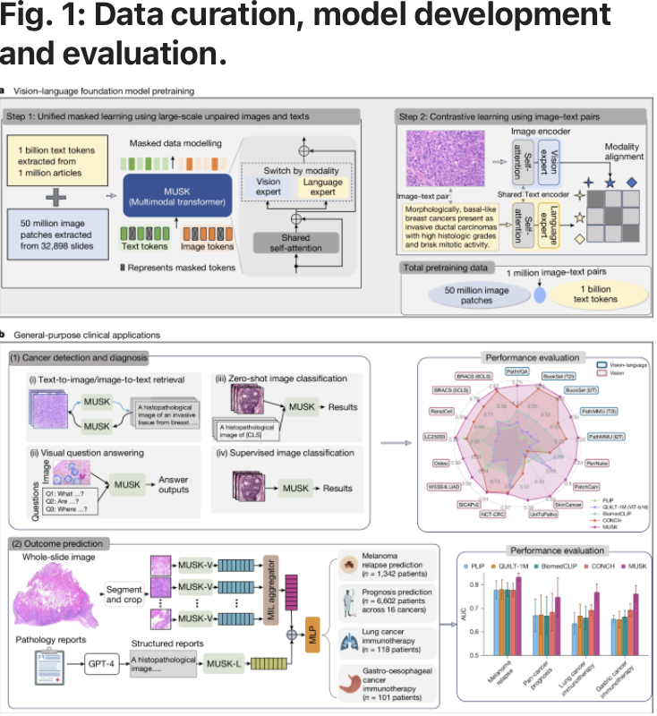 SCI member Ruijiang Li &amp; team developed an AI model with visual &amp; language data. Trained on 50M images and 1B pathology texts, it outperformed traditional methods in predicting cancer, identifying immunotherapy candidates, &amp; spotting recurrence risks. go.nature.com/4afTaz5