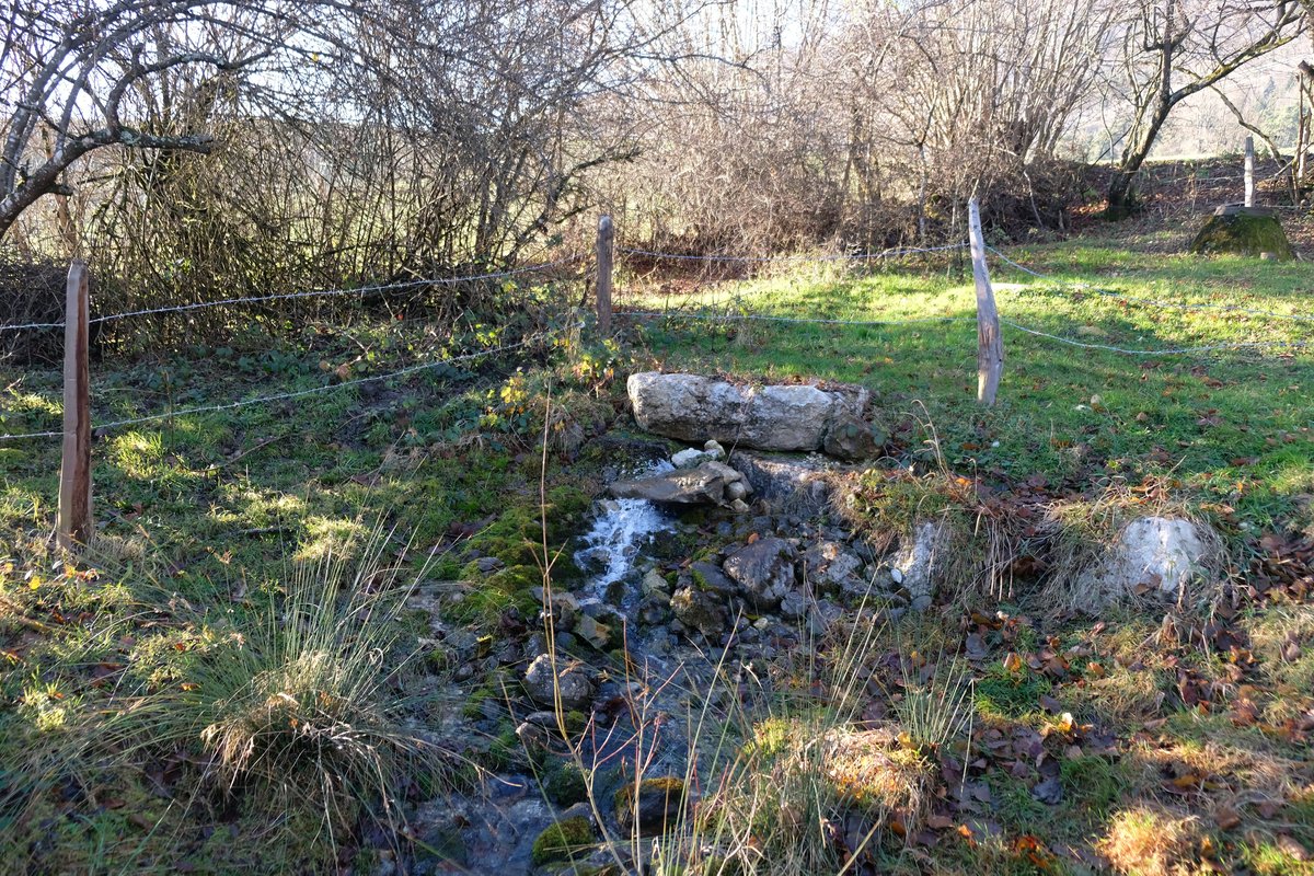 Une source revitalisée, ça ressemble à ça 🤩 

Trois projets de ce type ont démarré en octobre à Sonceboz-Sombeval. 

L'objectif est de continuer à pouvoir y abreuver le bétail, tout en préservant l'important milieu naturel que sont les sources.

#parcchasseral #biodiversite