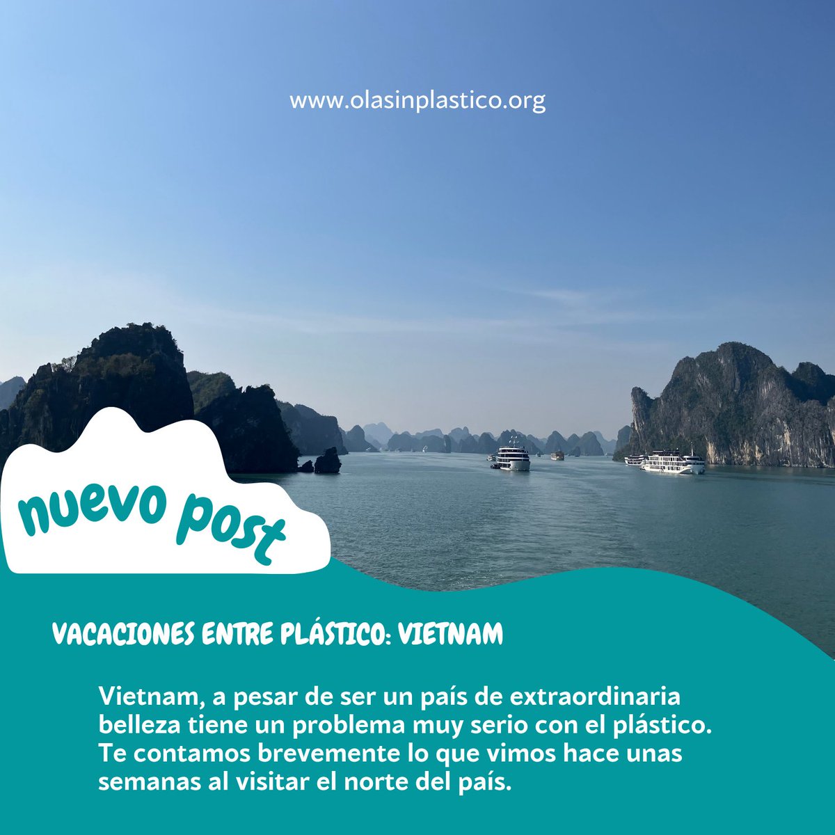 Ola Sin Plástico tweet media