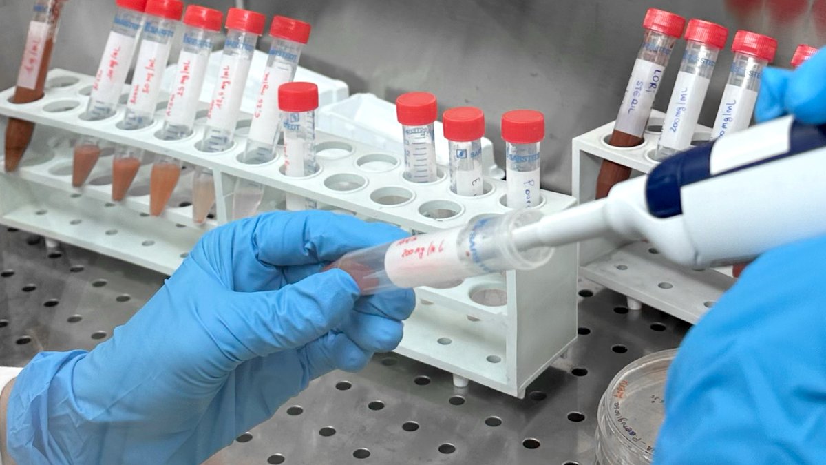 HealthXCross tweet media