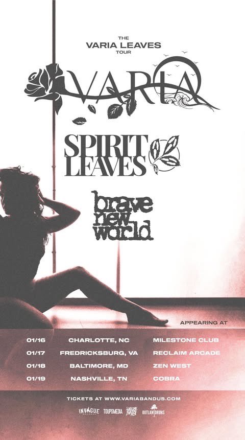 pattarangg's tweet photo. Started off 2025 with a bang! We got some new merch for our run with @SpiritleavesFL next week as well 👌 https://t.co/eezyRQdVuv