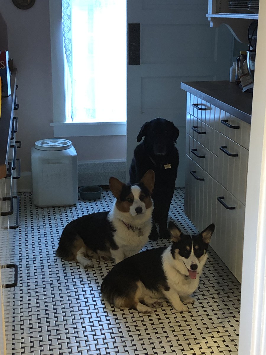 Andover DPW tweet media