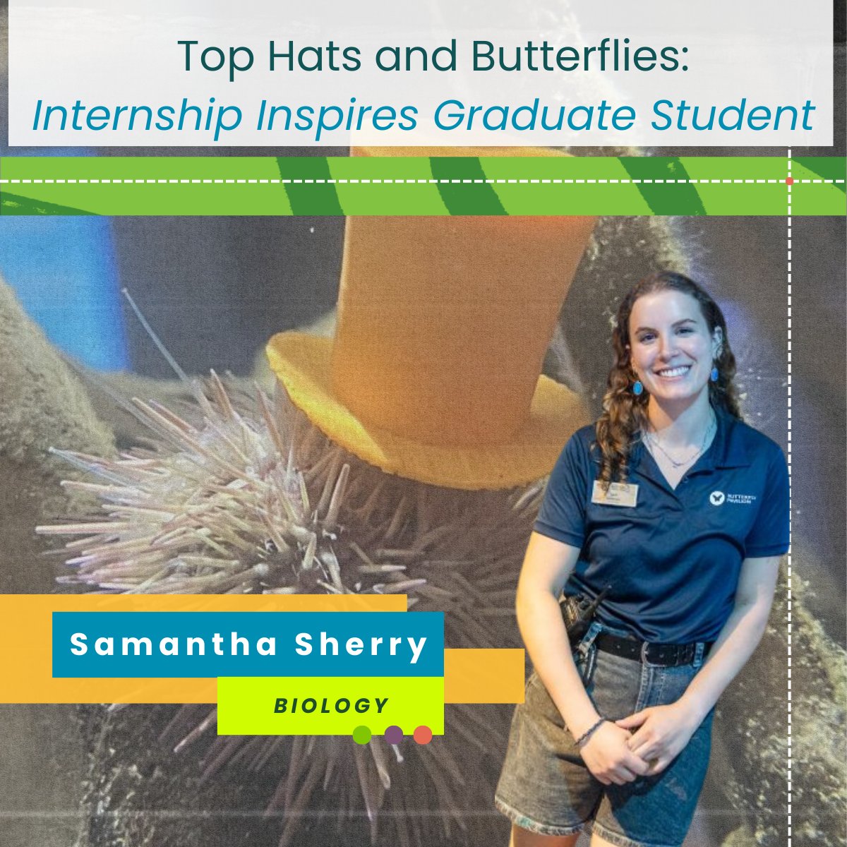 CSU College of Natural Sciences (@csunaturalsci) on Twitter photo Graduate student Samantha Sherry in <a href="/csubiology/">CSU Department of Biology</a> spent her summer interning with the Butterfly Pavilion βuncoveringβ more about a unique sea urchin behavior. π©
Read more about her discovery in Elements: col.st/KuGof Graduate student Samantha Sherry in <a href="/csubiology/">CSU Department of Biology</a> spent her summer interning with the Butterfly Pavilion βuncoveringβ more about a unique sea urchin behavior. π©
Read more about her discovery in Elements: col.st/KuGof