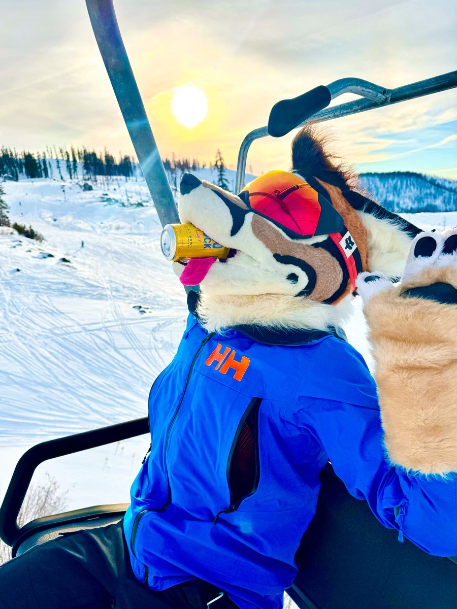 Wyatt Derp (@wyattfoxface) on Twitter photo #ThirstyThursday and there's no way I'm misinterpreting that 😋
📷<a href="/alpineshep/">@alpineshep.bsky.social</a> #ThirstyThursday and there's no way I'm misinterpreting that 😋
📷<a href="/alpineshep/">@alpineshep.bsky.social</a>
