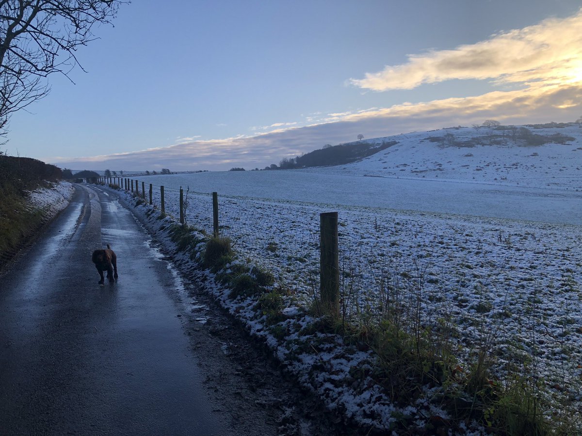 Crazy cold up there today!! 🥶 Murphy utterly incredulous his staff had him out in such conditions 🐶 #CissburyRing #Worthing
