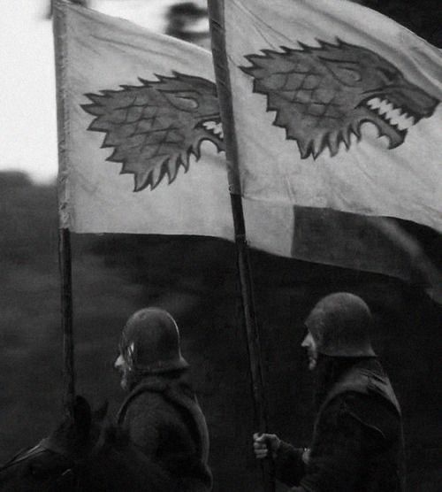 Warchillect (@warchillect) on Twitter photo 