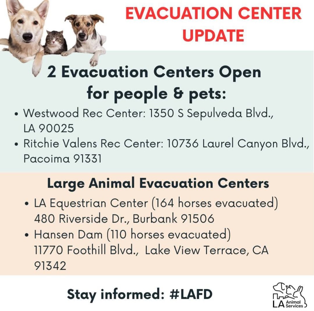 micha_konig's tweet image. #Evacuation 
#AnimalRescue 
#EvacuationCenter