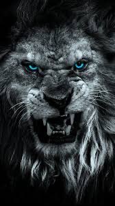 Day 1 of winter workouts 😤

Execute
Attack
Together

#EAT
