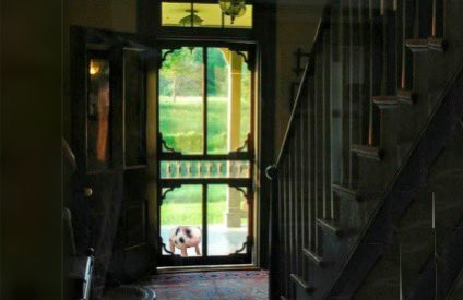 aisatsanasees's tweet image. #photodesigner #theriver