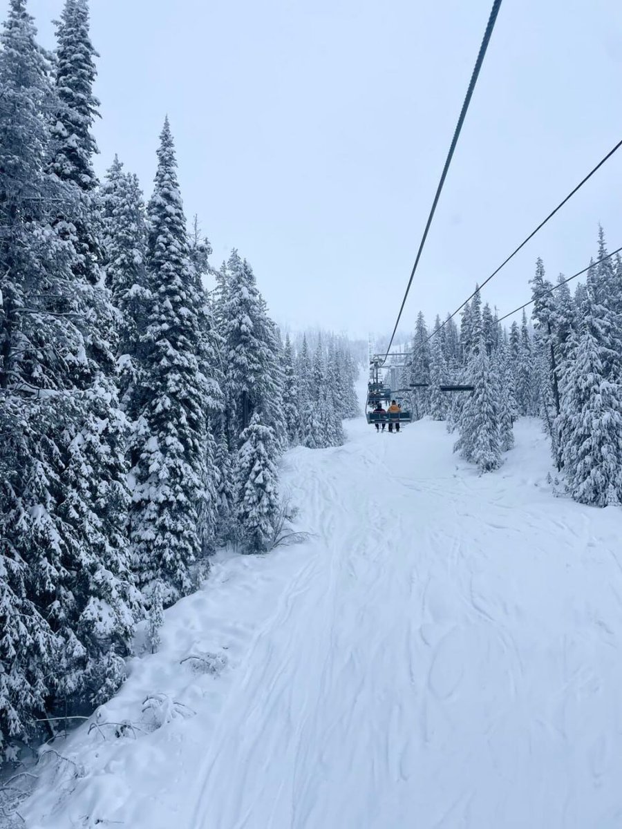 In this pure white snow country, enjoy the speed and passion of skiing and feel the tranquility and magnificence of nature