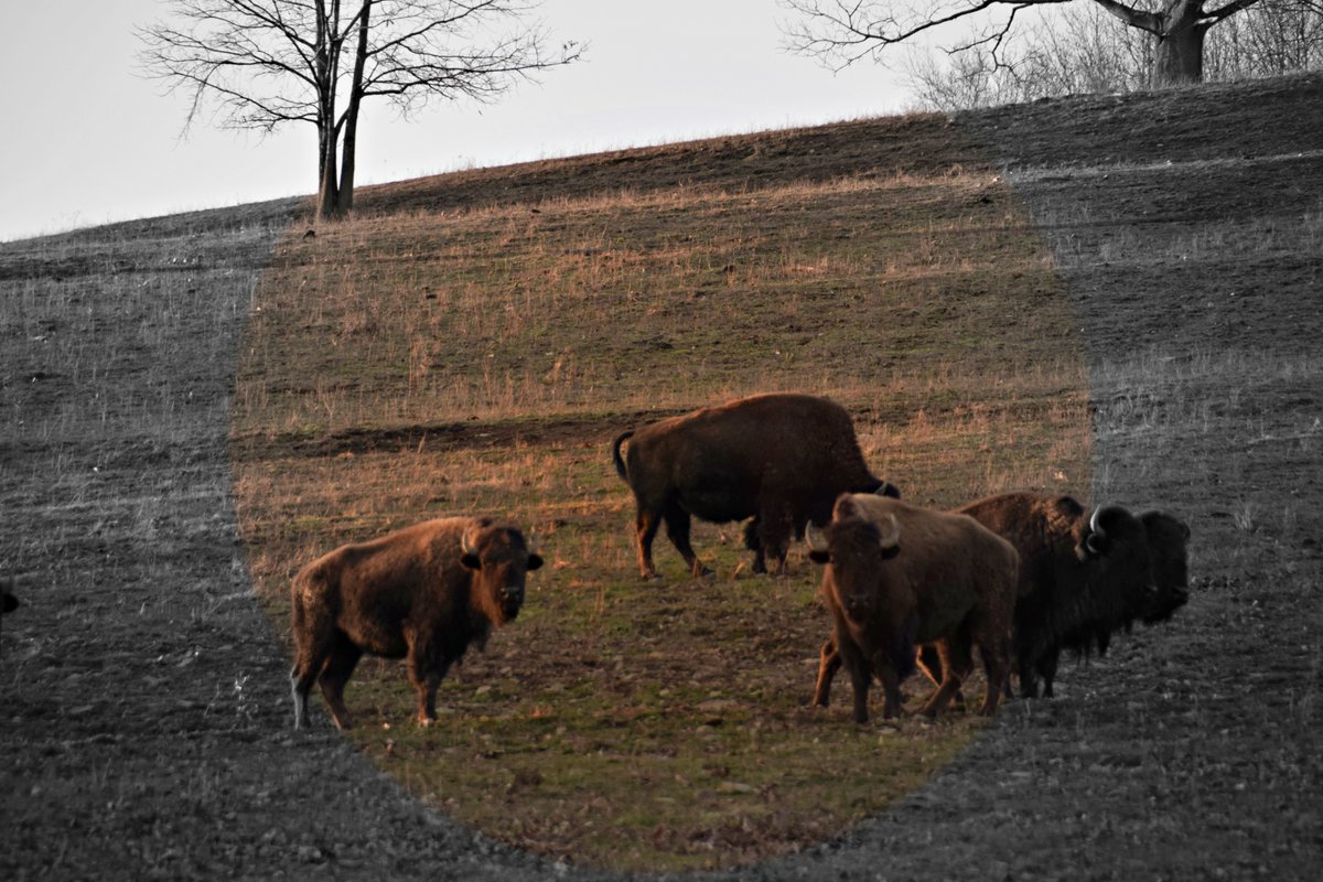 Jay Stenman tweet media