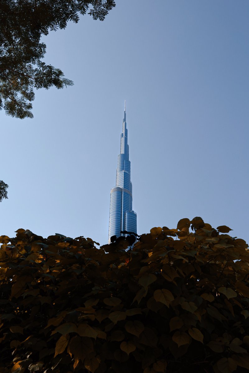 Duplex38's tweet image. Definitely the best country! 🇦🇪

@HSajwanization