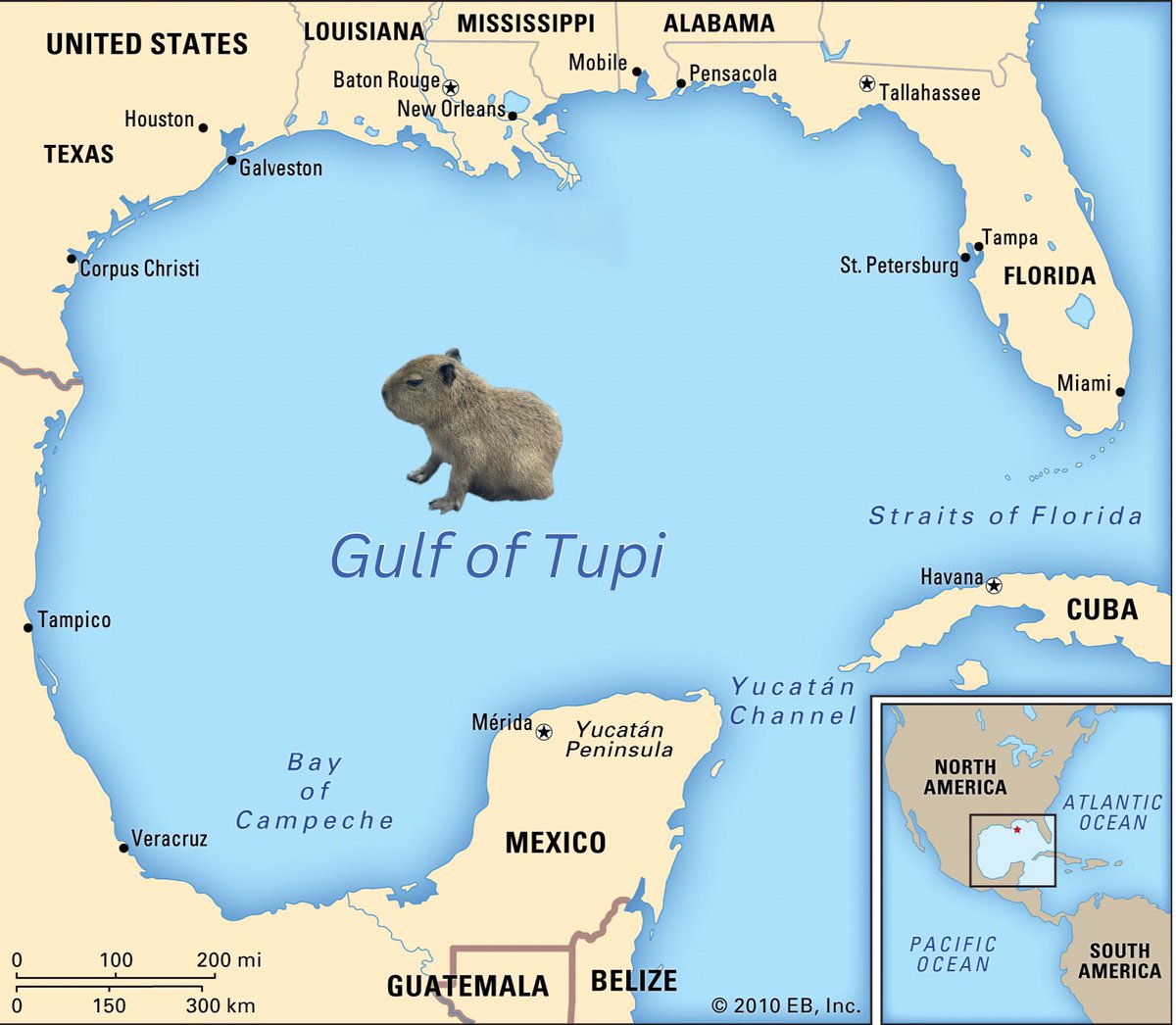 San Antonio Zoo 🦍 tweet media