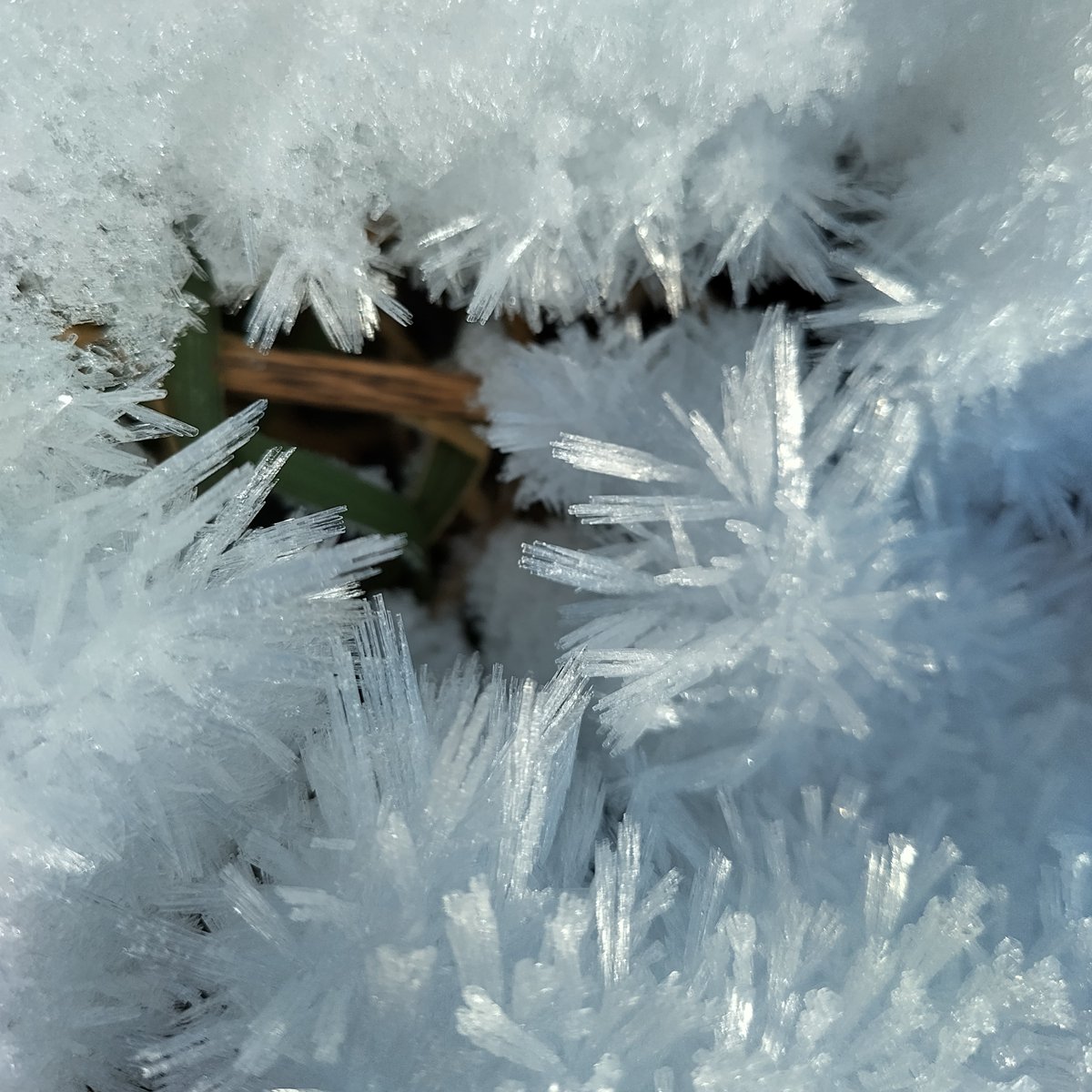 Enjoying some "proper" January weather this week. Look at these marvellous ice crystals! Many roads are icy, please check before you travel.
#winter
#ice
#snow