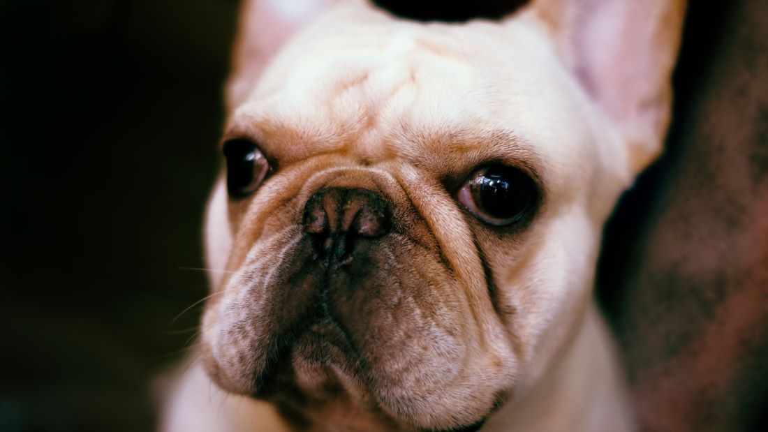 Revista Argos tweet media