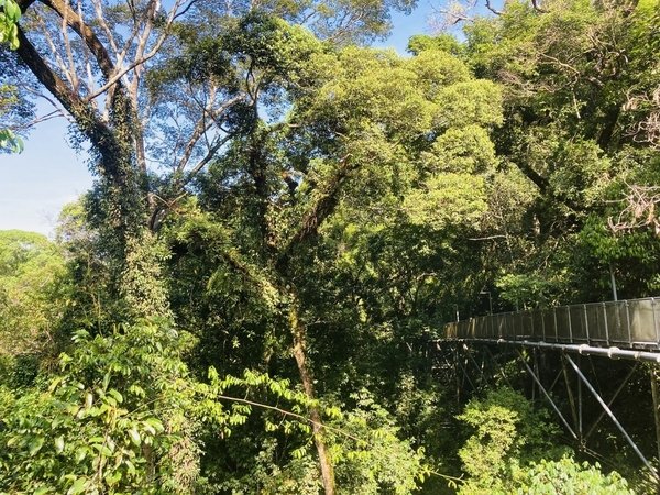 TravelGumbo's tweet image. #SungaiSedim #TreeTop #CanopyWalk #ttot

TravelGumbo archives
By Travelers, For Travelers

travelgumbo.com/blog/sungai-se…