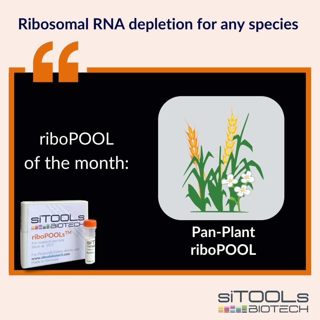 Starting the year strong with our riboPOOL of the month: The Plant riboPOOL! 🌱Efficiently deplete rRNA in plant RNA samples for high-quality transcriptomic analysis. The Pan-Plant riboPOOL consistently removes &gt;90% of rRNA from total RNA samples across various flowering plant