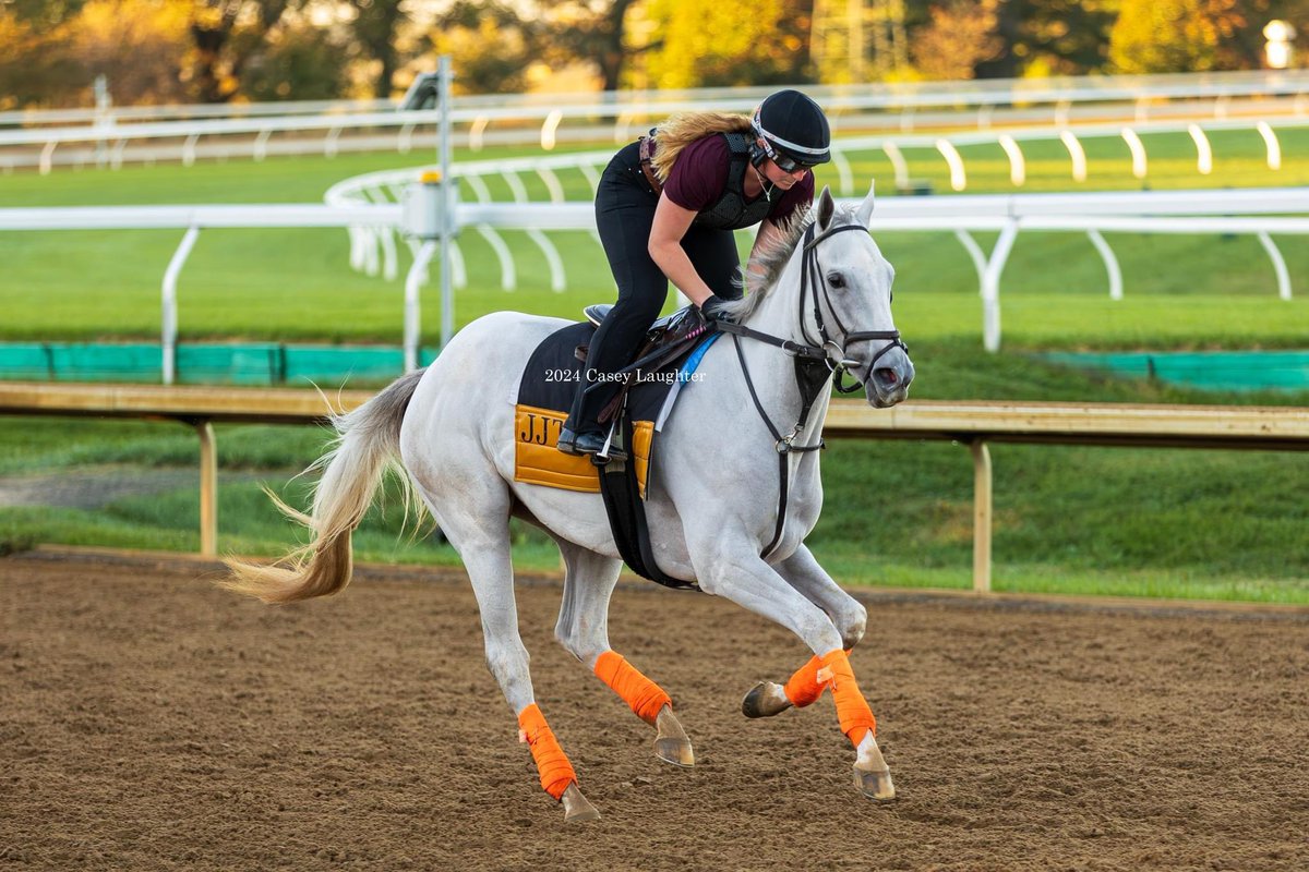 JJ Toner Racing Stable (@jjtonerracing) on Twitter photo A grey double header today at <a href="/GulfstreamPark/">Gulfstream Park</a>! THIS COUNTRY gets back to the races in race 7. Post time is 3:32pm. In race 9, CHRISTINABARCELONA tries to break her maiden on the dirt at 4:34pm. <a href="/jorgeruizjockey/">Jorge Ruiz</a> will be aboard both as they look to get to the winner’s circle. A grey double header today at <a href="/GulfstreamPark/">Gulfstream Park</a>! THIS COUNTRY gets back to the races in race 7. Post time is 3:32pm. In race 9, CHRISTINABARCELONA tries to break her maiden on the dirt at 4:34pm. <a href="/jorgeruizjockey/">Jorge Ruiz</a> will be aboard both as they look to get to the winner’s circle.